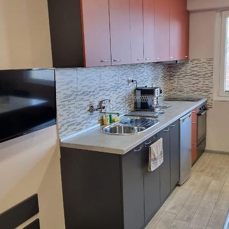 Lux Apartment Монтана Экстерьер фото